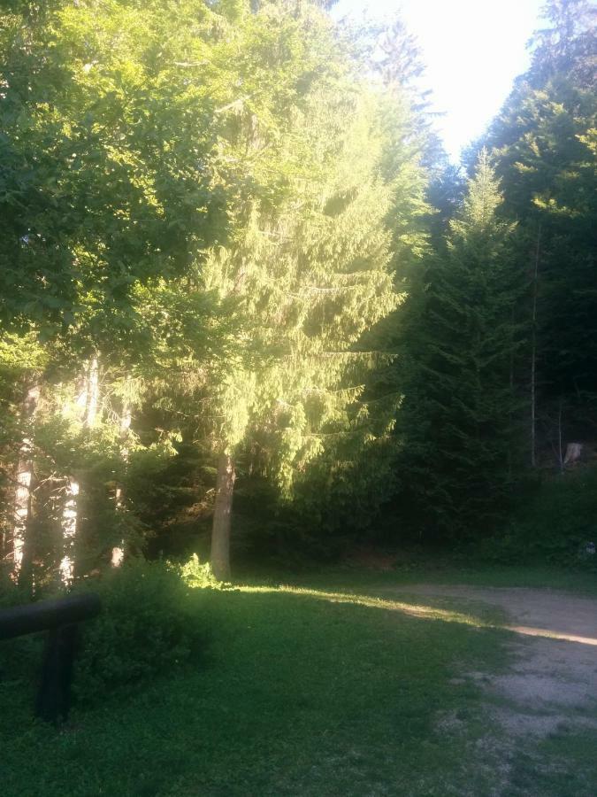 Abetina Apartman Levico Terme Kültér fotó